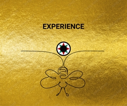 Experience